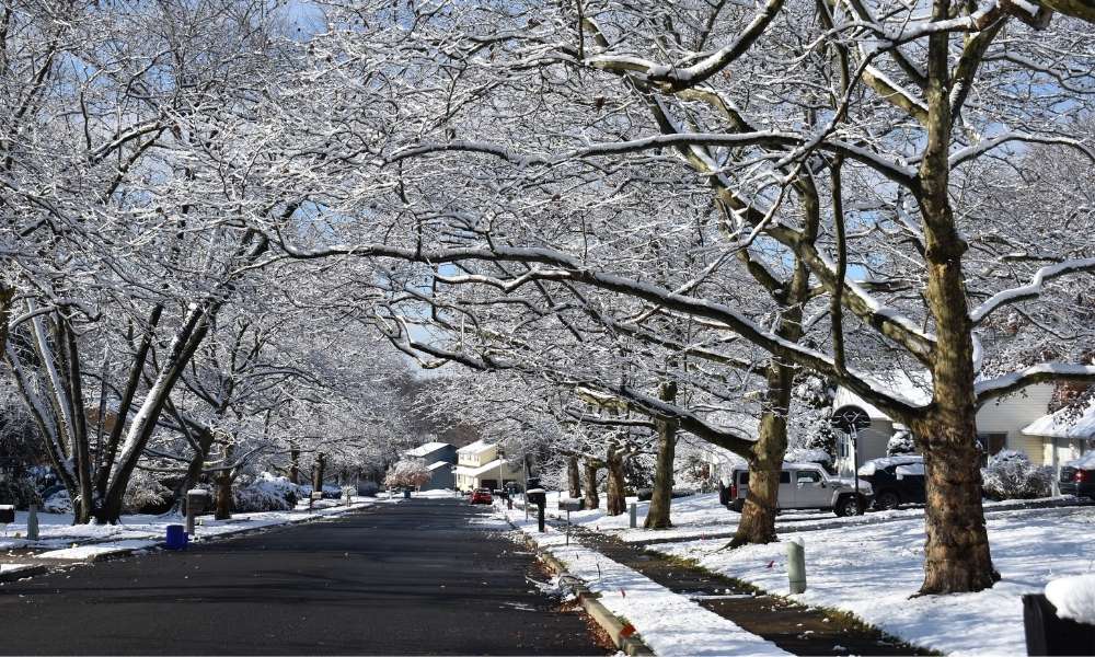 snowy street in NJ